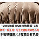 Wen shiou 100 coton pur hommage satin long velours tissu coton tissu quatre pièces tissu coton plein coton tôle couteau couteau bord de bord jin [Jin est égal à 0,5 kg] 1208 12099 100 coton pur hommage en satin 2,9 mètres