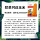 Beishu official authentic corn seeds produce tall and short big sticks, drought-resistant and lodging-resistant Zhengdan 958 nationally approved feed Sichuan hybrid Beishu selected Zhengdan 958 nationally approved corn seeds Total 2Jin Jin equals 0.5kg