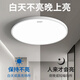 Chint human body sensor ceiling lamp intelligent light control lamp dust-proof, moisture-proof, mosquito-proof, corridor corridor garage lamp 24W white light 37CM diameter