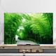 
Customized new TV dust cover TV cover sunscreen fabric 65-inch protective cover cover hanging curved screen table type B1391 Music Dolphin 37-39 inches (93*60cm)