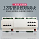 Magic intelligent lighting control module light controller centralized control switch 485 remote control white 12-way 16A