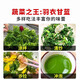 Tianfen kale seeds, four-season balcony cold-resistant edible olive vegetables, easy-to-grow potted high-calcium vegetable seeds in the field, high-nutrition green kale seeds, 10 capsules