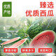 【好价2大瓶】NFC西瓜荔枝山竹芭乐刺梨杨梅100%果汁0添加一整箱 西瓜汁【2瓶*848ml】新日期