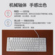 罗技K835马里奥有线机械键盘游戏办公悬浮键帽小型84键笔记本外设 95新内白外蓝 红轴