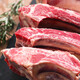 安格斯谷饲原切牛肋排带骨牛肉牛排骨新鲜牛肉夏季火锅生鲜食材 原切牛肋排2斤 MS1