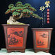 Yixing Purple Clay Flower Pot épaissie et super grand bonsaï carré haut plantant de la forme de pile Old Pile Orchid Pot de fleur en céramique 967 grande taille