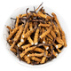 
Dongzai [Narqu, Tibet] Wild Cordyceps sinensis broken grass wild Cordyceps large meat festival tonic gift box nutritional products small broken grass 10 grams [Narqu, Tibet]
