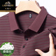 Camiseta clásica de seda de color seda de mulberry para hombres de alta gama 2025 Summer NUEVO estilo de mediana edad y anciana Camisa H9866 Dark Green 4xl 190180-200Jin [Jin es igual a 0,5 kg]