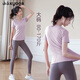 Shuangxiu yoga wear for women 2025 new suit style large size belly-covering short-sleeved Pilates training sports fitness top quick-drying glazed purple + sea moon pants suit S _(80-95Jin Jin equals 0.5 kg)