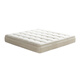 
SHARENOW Dream Angel Breathable Ridge Protection Seven Zone Single Bag Spring Latex Mattress Simmons 1.8*2m Soft Home 30CM Thick Dream Angel [Star Dome 3.0] Strong Support 24CM 1350mm*1900mm