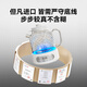 GLASSLOCK all-glass health kettle, fully automatic constant temperature tea kettle, heat preservation all-in-one office home mini small one-person kettle, all-in-one flower tea kettle, free glass tea drain + stew pot - 1.2L customized model