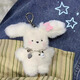 Pengyi Niche Rabbit Ins Style Pendant Cute Flying Rabbit Plush Doll Pendant High-Looking Student School Bag Pendant Buckle Headphone Cat No Specifications