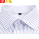He Jiagong CCB work clothes women's formal wear collar white background blue vertical striped short-sleeved shirt square collar slim bank work clothes 3882 men's collar light blue twill short-sleeved 39 (170/88A)