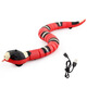 Electric Induction Cat Toy Cat Toys Cat Supplies Self-Enjoy Cat Toys Relieve Bores and Snake Electric Rechargeable Remote Control Ladybug 9922
