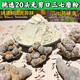 北京同仁堂云南文山三七粉特级无剪口20头田七粉三七纯粉原料 精选5年无剪口20头春三七【代磨粉】250克