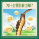 挖草人【西藏那曲】新鲜野生冬虫夏草 2025那曲野生鲜虫草头茬鲜虫草 1.2克/根 那曲野生鲜虫草 20根