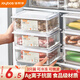 Best Helper Refrigerator Fresh Box Food Grade Antibacterial Storage Box Special Sealed Fruit and Vegetable Freezing Box 1000ml 3 Pack