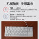 Logitech Original K835 Mario Wired Mechanical Keyboard Game Office Floating Keycap Kleine 84-Key-Notizbuch Peripheral 95 Neues Matcha Green Theme Red Achse