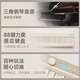 
Xinghai Bang TupTup Electronic Piano Folding 88 Key Gravity Keyboard Children's Adult Portable Electronic Piano Instruments Beginners Upgraded Model ZB260w White + Piano Pack