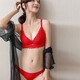 红豆（Hodo）少女蕾丝内衣套装性感无钢圈加厚小胸3排扣无痕上托聚拢 1389花样黑色 75A 34/
