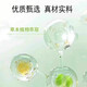 固信堂【官方正品】三参平卧菊三七灵芝片加强版人参高含量 【周期装】2瓶