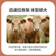 Zhengda Huadong 4 beef cattle premixed calf fattening cattle feed rapid fattening and weight gain without pulling the frame