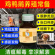 Chicken medicine poultry one drop chicken duck goose cold and diarrhea medicine poultry first aid tablets chicken medicine special effect anti-inflammatory asthma special 8 bottles to eliminate all poultry diseases