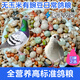 New pigeon food 20 Jin Jin is equal to 0.5 kg. Corn-free pigeon food with corn pigeon feed racing nutrition pigeon food for adult and young pigeons 5 Jin Jin is equal to 0.5 kg. No corn pigeon food with peas 20 Jin Jin is equal to 0.5 kg.