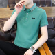 
JEEP SPIRIT Jeep Short Sleeve T-shirt Men's Half Sleeve Top POLO Men's New Summer Casual Business Middle-aged and Young Stripe Half 6636 Dark Green XL -(130Jin[Jin is equal to 0.5 kg]-145Jin[Jin is equal to 0.5 kg])