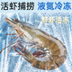 Linglue domestic live frozen black tiger shrimp net weight 1.8Jin Jin equals 0.5kg 20-28 salt-frozen single frozen shrimp barbecue prawns monodon