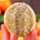 Passion fruit seeds are easy to grow in balcony potted courtyards. Summer flowering fruits can be sown and planted in all seasons. Passion fruit seeds are easy to grow. 5 packs of passion fruit seeds, about 250 seeds, are more fragrant and delicious.