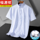 Hengyuanxiang men's comfortable short-sleeved cotton shirt summer thin style breathable cool lapel professional suit striped shirt DX6636 40