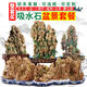 Water-absorbing stone 10-160CM natural water-absorbing stone raw stone water stone stone mountain bonsai rockery fish tank landscaping ornaments micro only stone 20-24 water-absorbing stone package