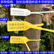 One-time customized garden seedling seal number tree extended plastic seal label tag 42CM50CM60CM steel wire 80cm red 100 pieces