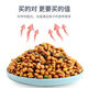 Lean Fresh Raw Bully Special Dog Food 10 Jin Jin is equal to 0.5 kg 40 Jin Jin is equal to 0.5 kg 20kg large bag packed with adult dogs, puppies, medium and large dogs, general purpose Liupin + fruit and vegetable grains + goat milk grains + blueberry grains + nutrition 40 Jin Jin is equal to 0.5 kg, packed with super freeze-dried + nutritious hair beauty