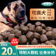 Beta Chong Kangao Dog Food 40 Jin Jin is equal to 0.5 kg. General dog food for medium and large dogs, puppies and adult dogs 10 Jin Jin is equal to 0.5 kg. Calcium Supplement Mao Tian. Large grains are suitable for dogs aged six months and above. 10kg10kg