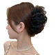 Spring and Autumn New Style Mesh Pleated Hair Large Clip, High-end, Elegant, Fashionable, Tender and Sweet Hair Clip for Women, Gypsophila Clip 13cm 1pc