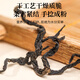 Fudonghai Qingqian Liu Tea 180g [Special A-grade] Money willow leaves deep in the mountains, old trees and young leaves to give health tea to parents