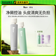 Roye, Artemisia Annua Anti-Dandruff Champú, champú picazón, sin marchito, champú de control de aceite, champú esponjoso, hombres y mujeres