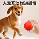 Zanpet dog toy ball, bite-resistant and molar-resistant elastic ball, Teddy self-pleasure and boredom relief, solid rubber ball for pet training