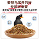 Kaiyuan starling bird food earl full price starling bird food special bird food starling full price bird food beautiful feather improvement and strong fat bird food