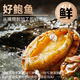 Linglue fresh frozen large abalone, net weight 800g, 16 pieces box, abalone hot pot barbecue, shellfish and seafood, fresh