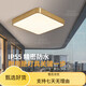 Puqian Quantong Outdoor Plafond Light Villa Ultra-Thin Entrance Door Corridor Corridor Balcony Light Terrace Terrace Mosquito Courtyard Light X3893-400 * 600 / rectangulaire