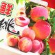 5Jin [Jin es igual a 0.5 kg] Embalaje de la caja de regalo Peach Carton 10Jin [Jin es igual a 0.5 kg] Peach Yellow Peach Peach Big Red Red Fruit Box 3895/Blue Fresh Peach Dos manos 8-10Jin [Jin es igual a 0.5 kg]