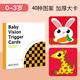 Zweiter Bär spielen House Early Education Visuelle Inspiration große Karte Schwarz -Weiß -Karten Neugeborene Baby -Farbtraining Bildung Spielzeug Schwarze und rote Flash -Karte 20 B Styles