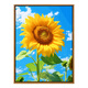 Treppenhängelbilder, Sonnenblumen, Sonnenblumen und sonnige, Heilung, digitale Ölgemälde, DIY -Farbgemälde, Gemälde im Wohnzimmerhänge, dekorative Gemälde, SJ14382 50*70 cm, eingedicktes Massivholz Innenrahmen X Highlight Pigment + 9
