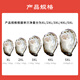 Fresh Jingcai Fresh Oysters 3XL Net weight 5Jin Jin is equal to 0.5kg 13-18 pieces Fresh to your home Fresh seafood Straight from the source