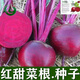 Red beetroot seeds, seaweed heads, beet seeds, original four-season vegetable seeds, fruit seeds, vegetable seeds, red beetroot seeds, original 1 pack, about 350 capsules