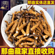 Dongzai [Narqu, Tibet] Wild Cordyceps sinensis hoher Höhe wildes Cordyceps sinensis Tonic Gift Box für Älteste [Narqu, Tibet] Fleischfestival - wirtschaftliche und erschwingliche 5 Gramm (Geschenkbox)