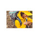 GREGORY Jade38L mountaineering backpack outdoor unisex 145656-9978 XS/S